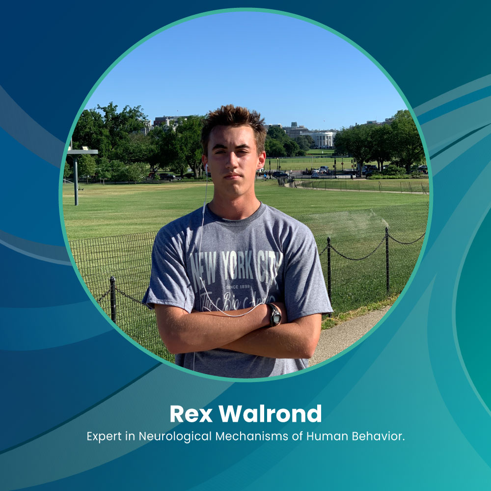 Rex Walrond Gallery